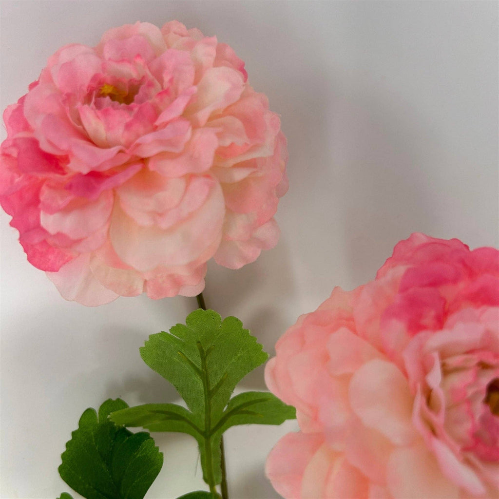 French Marigold Spray X 3 25" - Pink/Beauty
