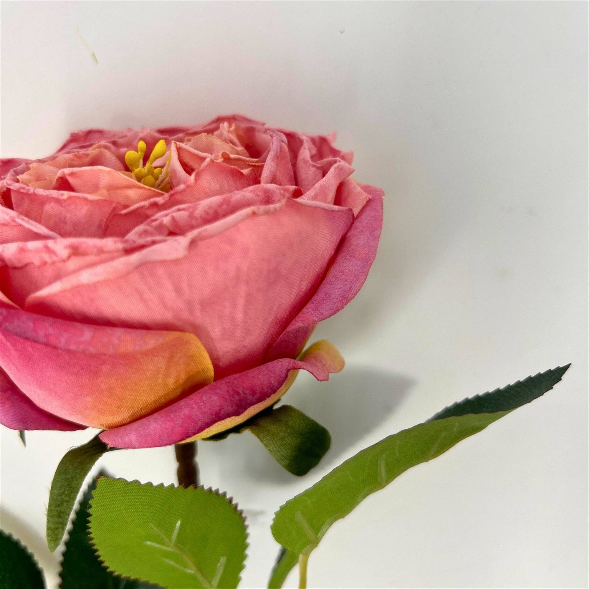 Windsor Rose Stem 24" - Mauve