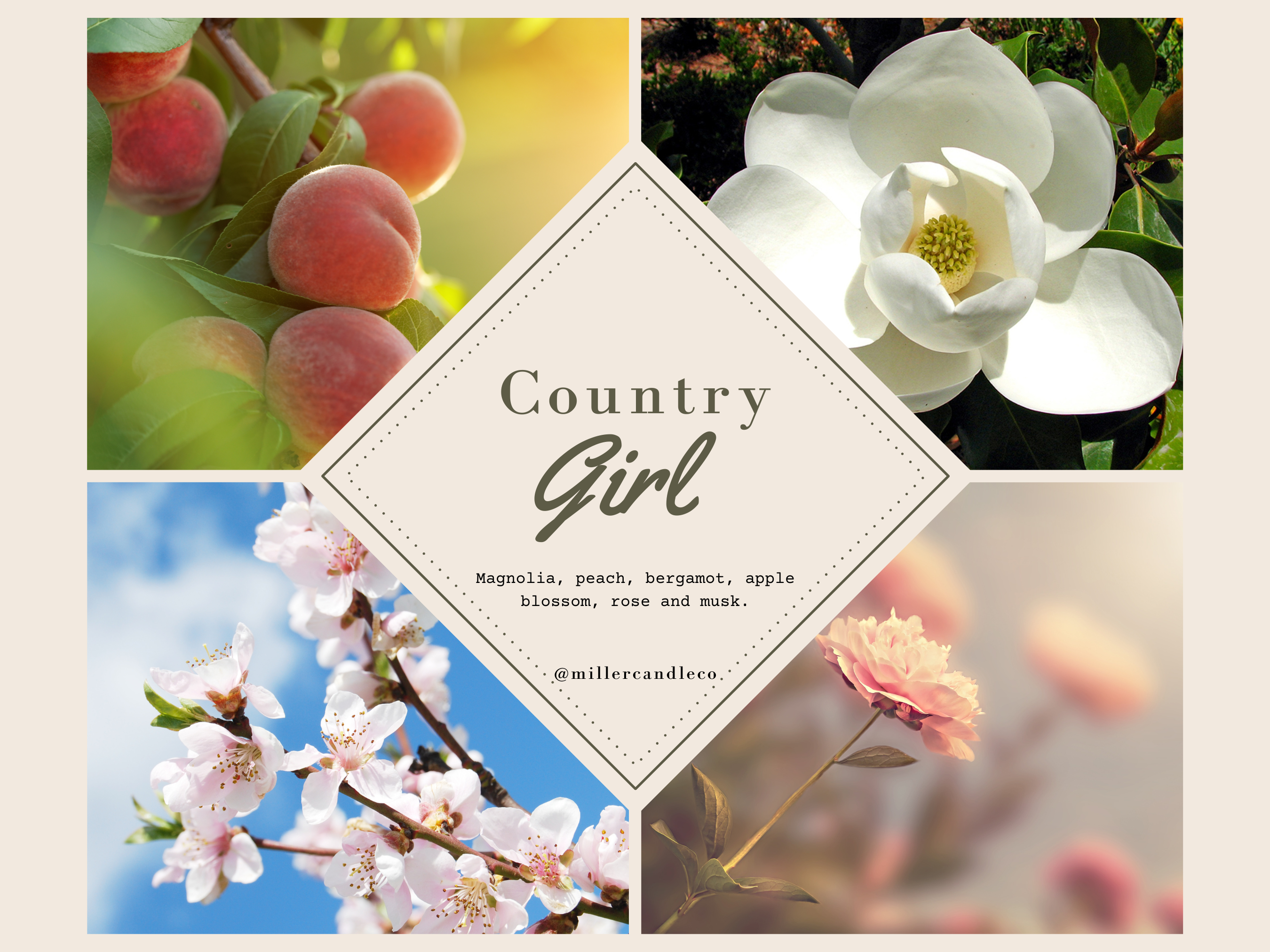 Women’s Goat Milk & Honey Lotion — Barn & Hive