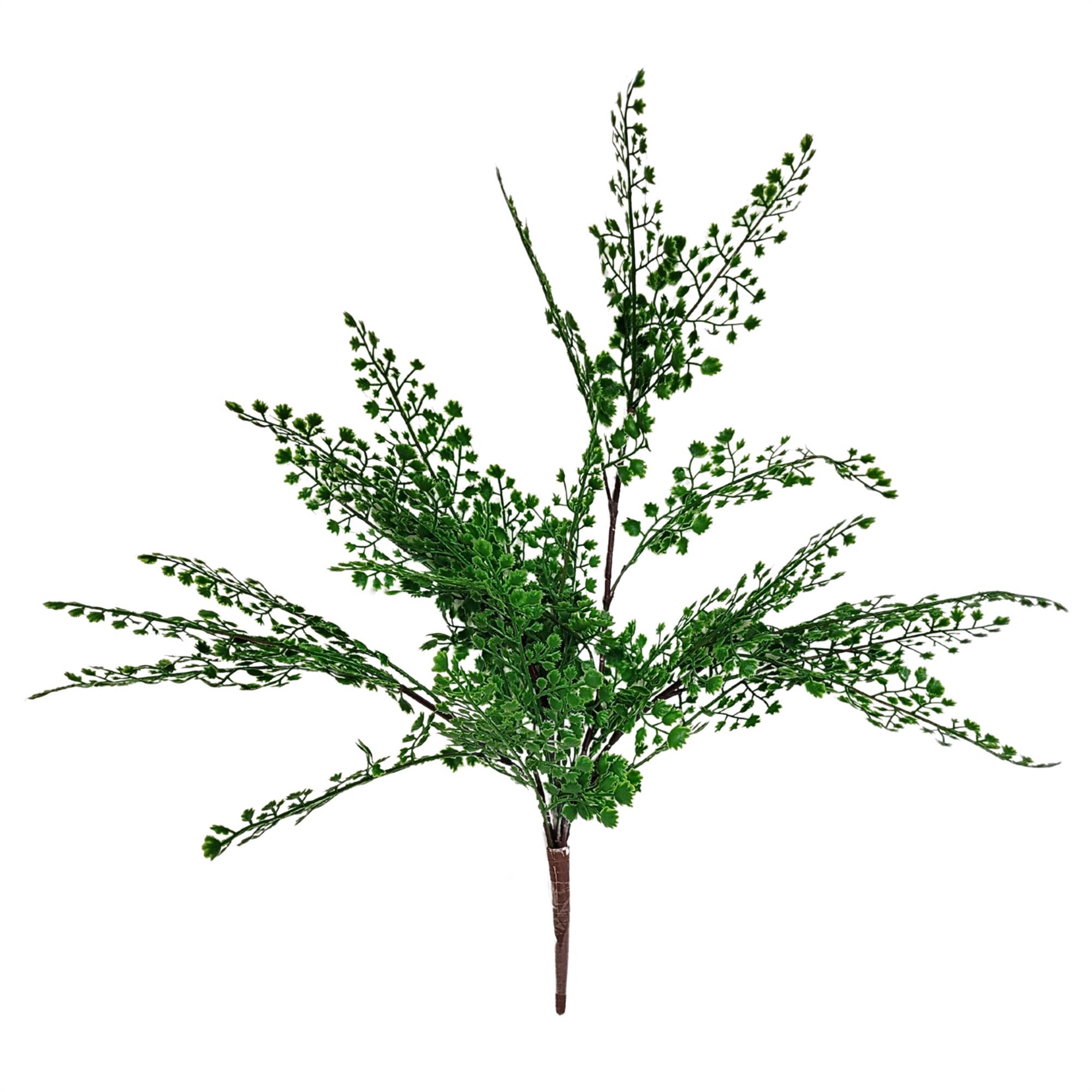 19" Maiden Hair Fern Plant - Dark Green